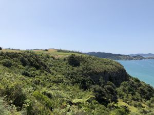 Kauri Cliffs 7th Hole